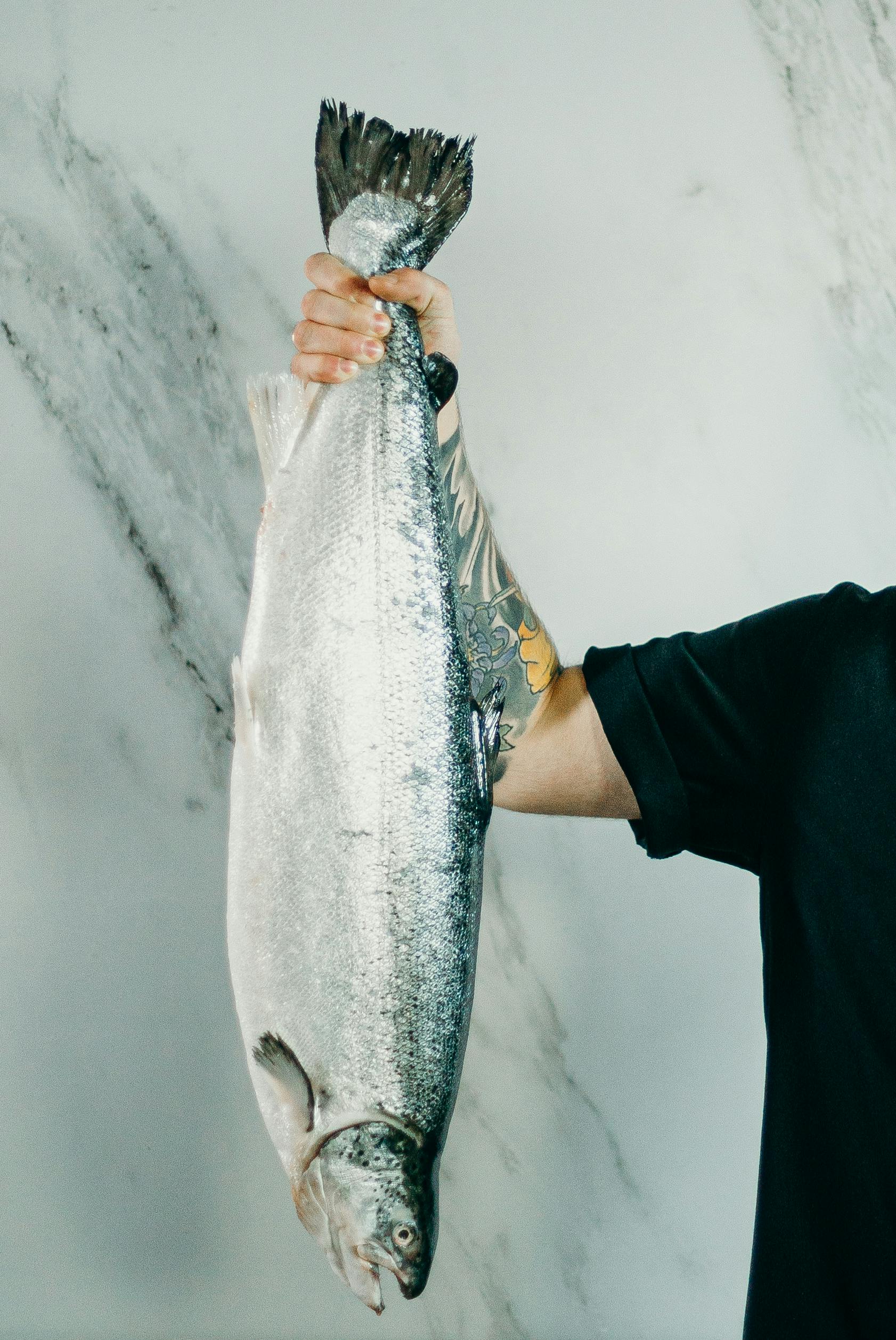 Smart Ways to Enhance Your Carnivore Diet Meals in 2025
