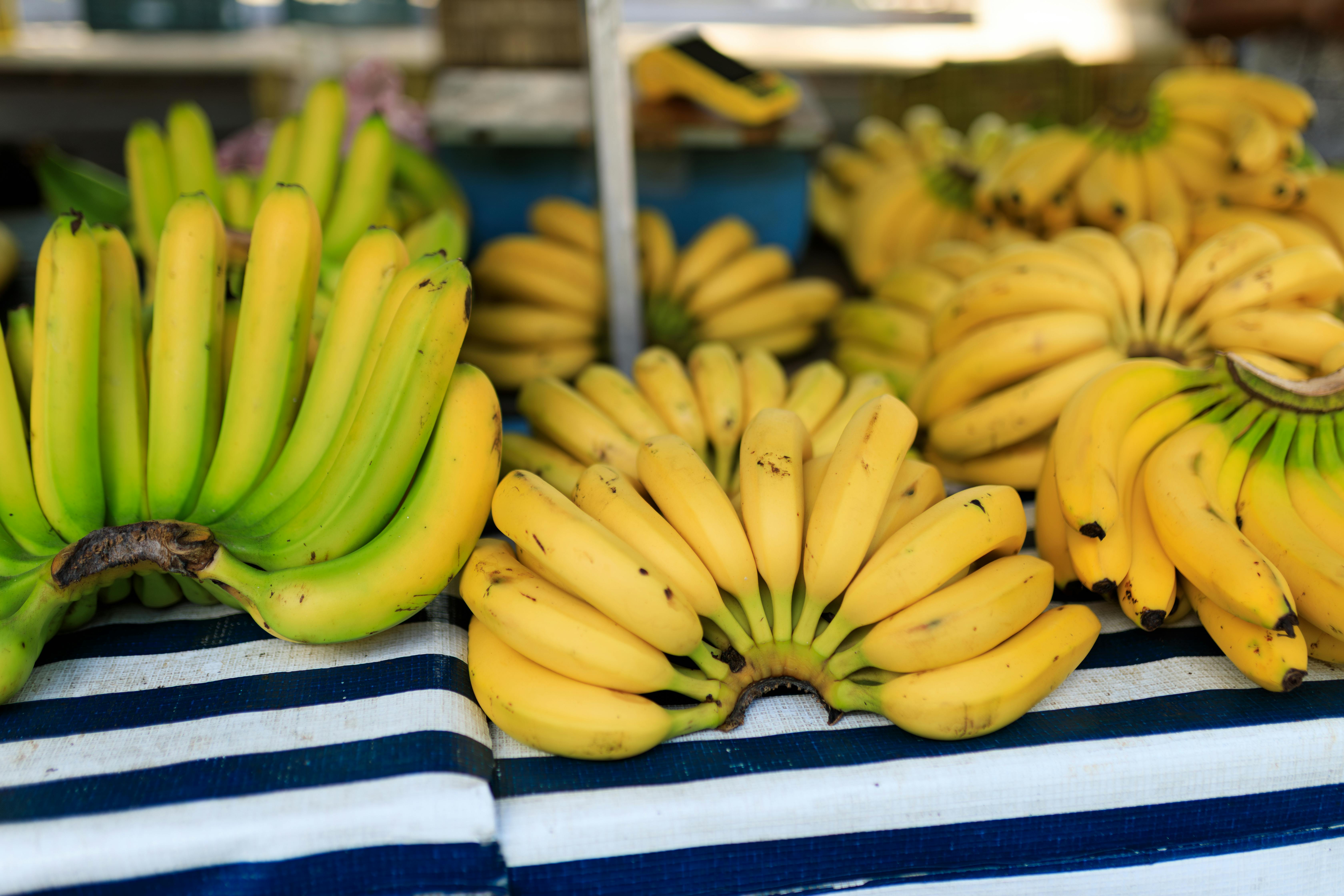Effective Ways to Choose Science Diet Puppy Small Bites for 2025