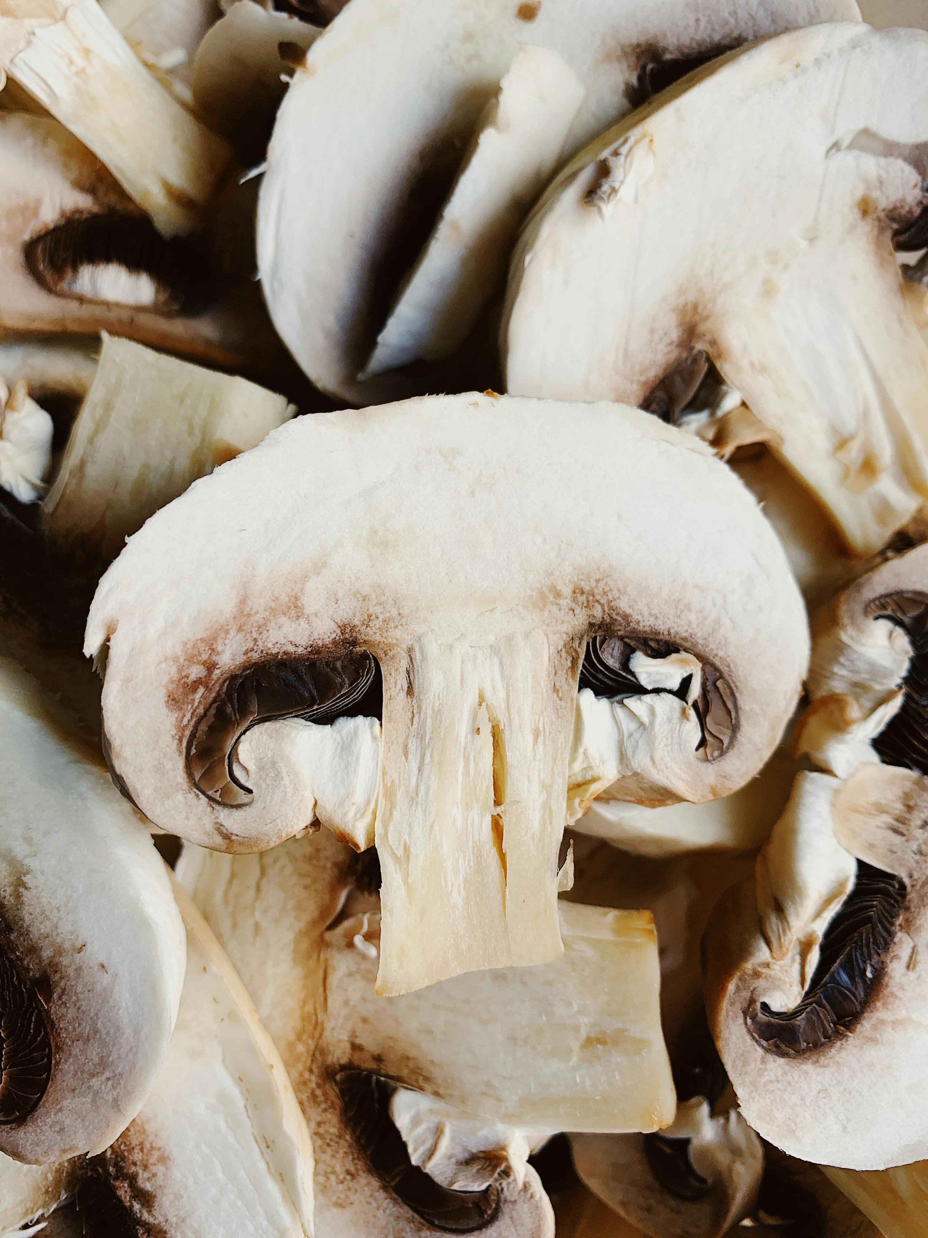 Best 5 Carnivore Diet Snacks for 2025: Discover Tasty Options