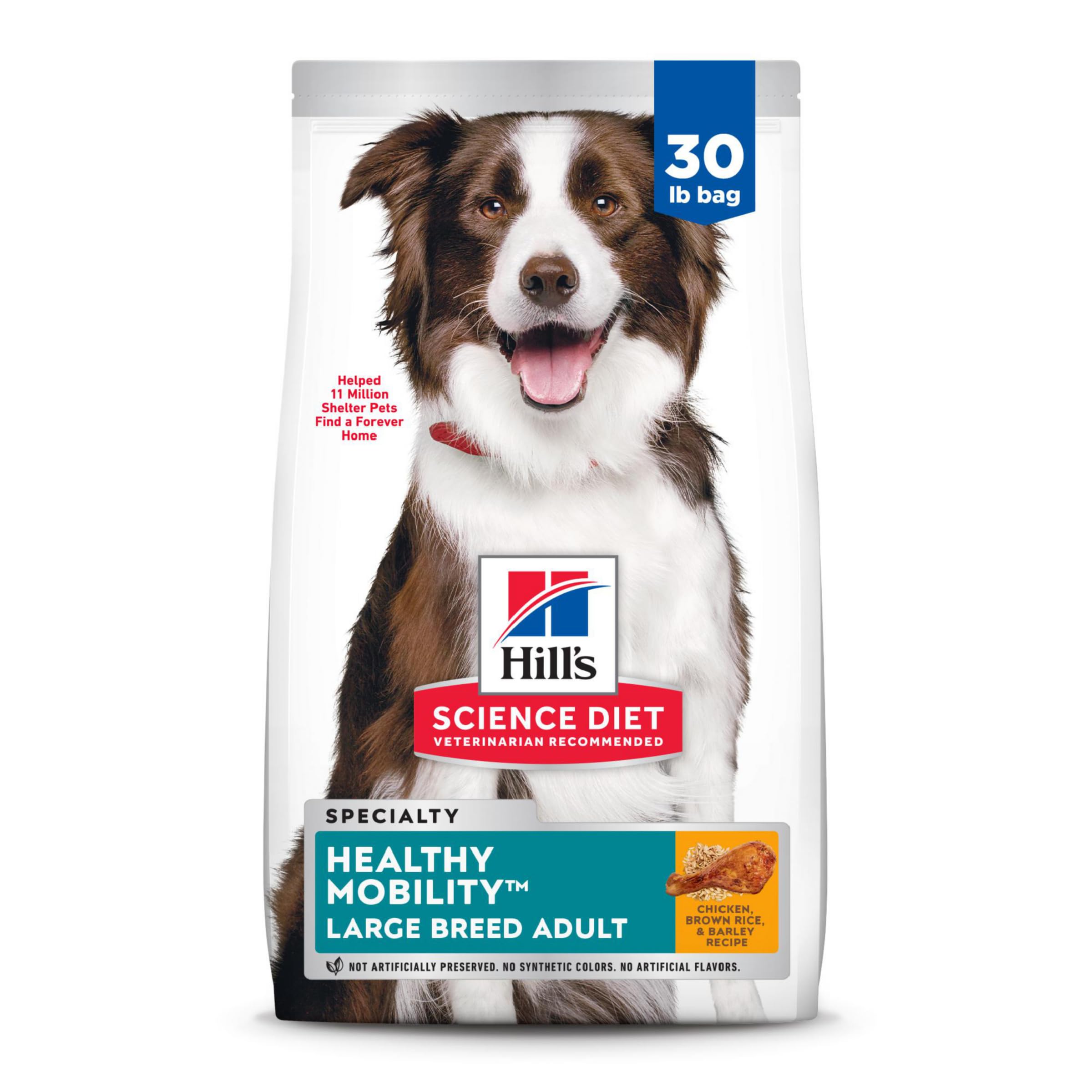 Effective Ways to Choose the Best Science Diet Dog Food for Improved Health in 2025