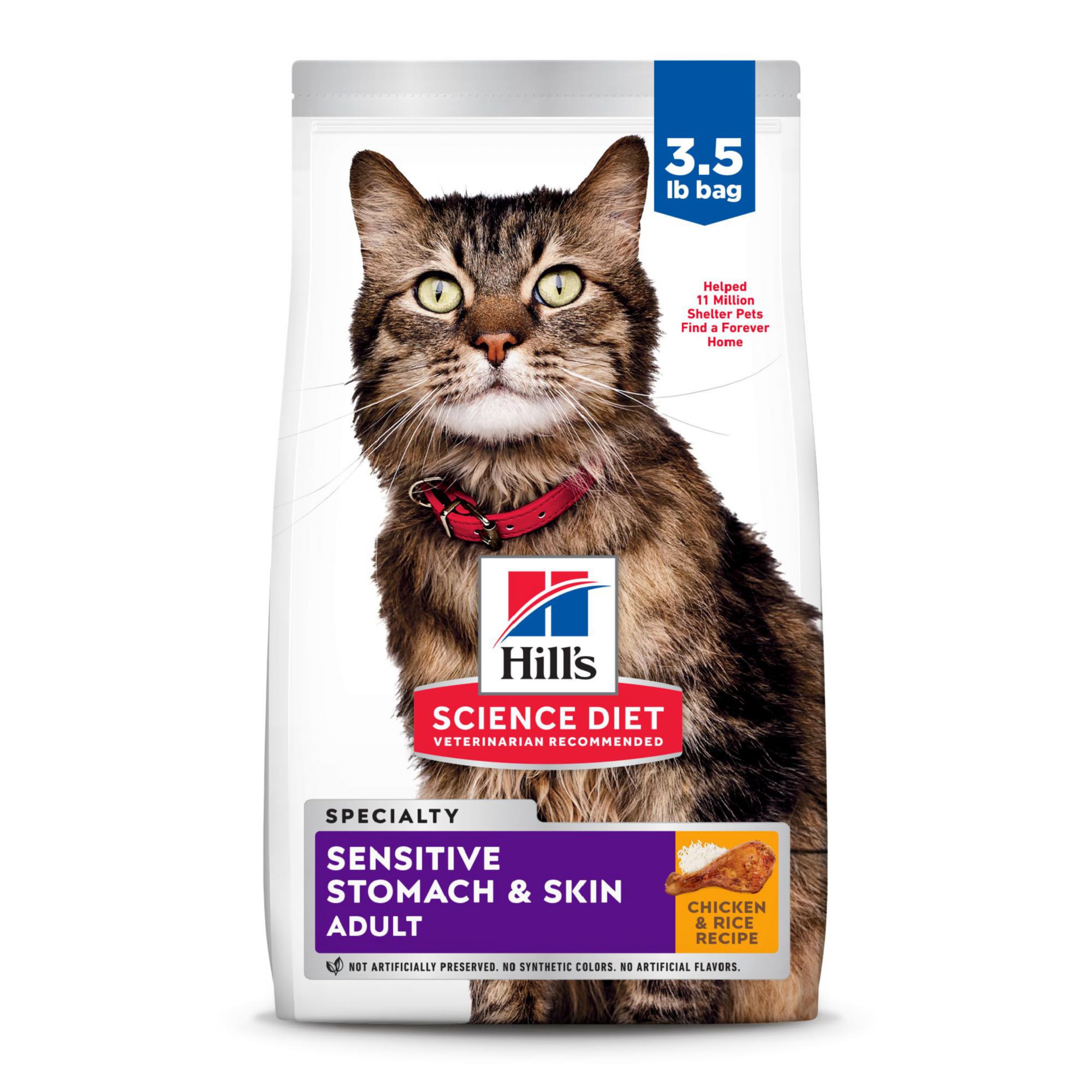 Explore the Best 5 Hill’s Science Diet Cat Food Options for Healthy Pets in 2025