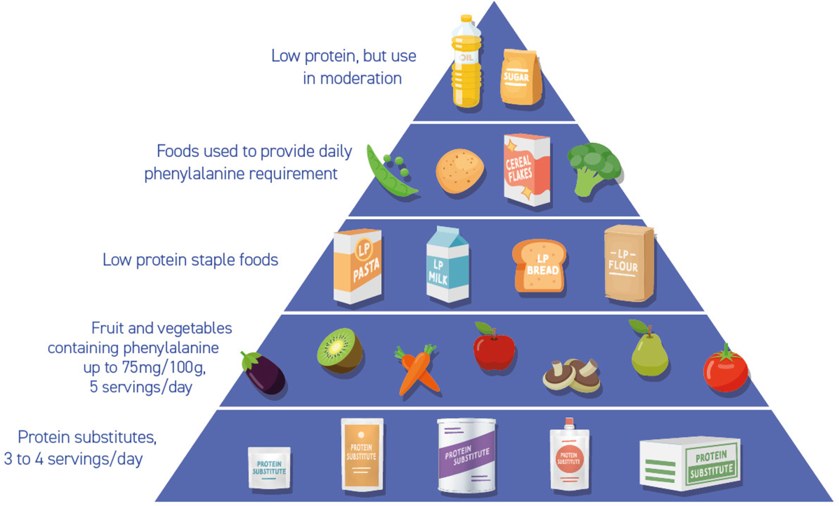 Smart Guide to the PKU Diet: Effective Methods for a Healthy 2025 Lifestyle