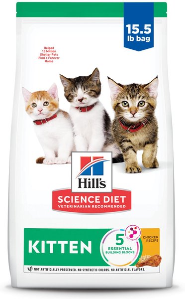 Top 7 Science Diet Kitten Food Options for Healthy Growth in 2025