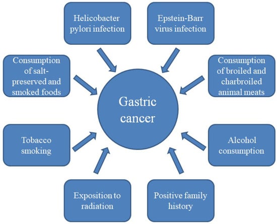 H. pylori Diet